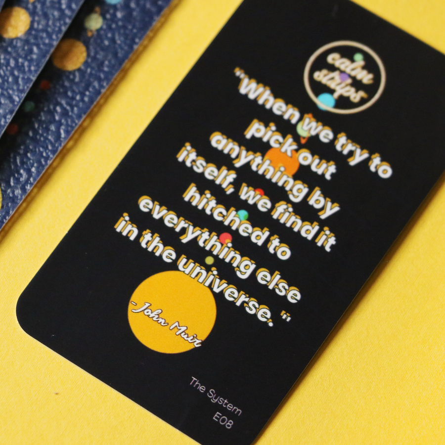 The System - Calm Strips