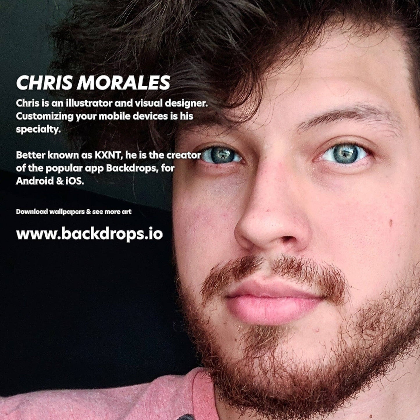 Blue Ridge - Calm Strips